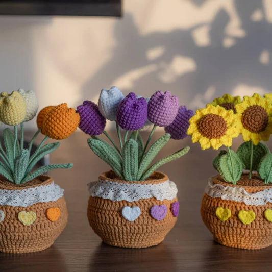 Handmade Crochet Flower Pots - Daisies,Tulips,Sunflowers in Decorative Plant Pots