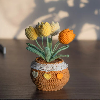 Handmade Crochet Flower Pots - Daisies,Tulips,Sunflowers in Decorative Plant Pots