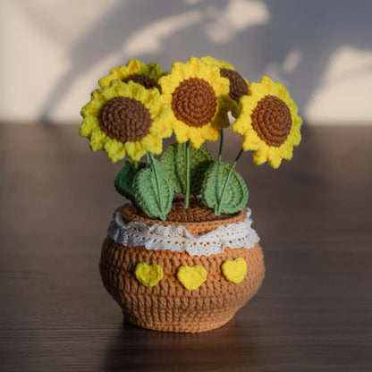 Handmade Crochet Flower Pots - Daisies,Tulips,Sunflowers in Decorative Plant Pots